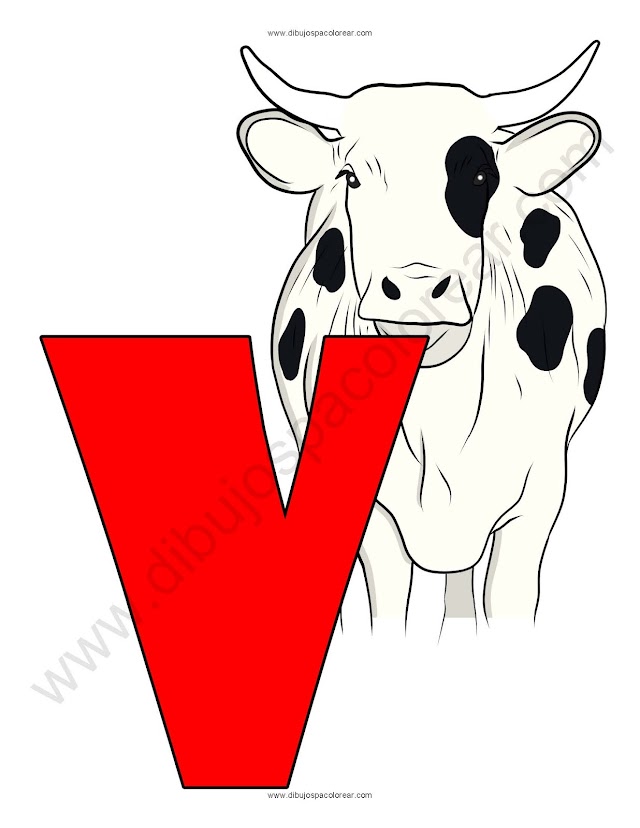 Letra V Vaca abecedario dibujo a color y para colorear